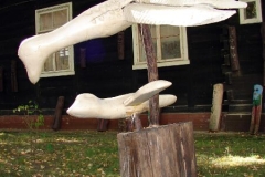 s_DSC00953